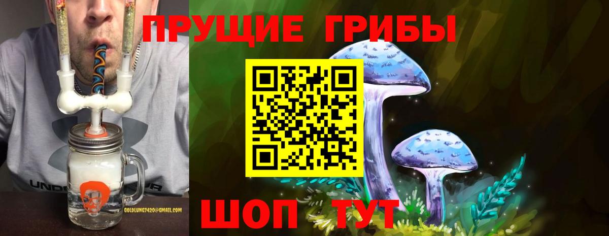 Черняховск  продажа наркотиков  Вход с VPN  Галлюциногенные грибы Cubensis 